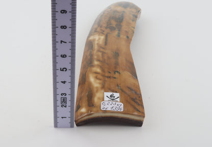 Mustard-blue mammoth bark