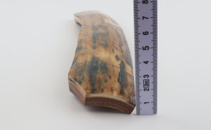 Mustard-blue mammoth bark
