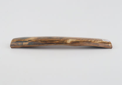 Mustard-blue mammoth bark