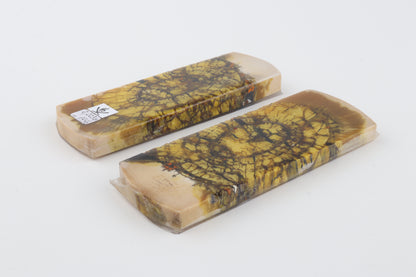 Stabilized mammoth ivory scales