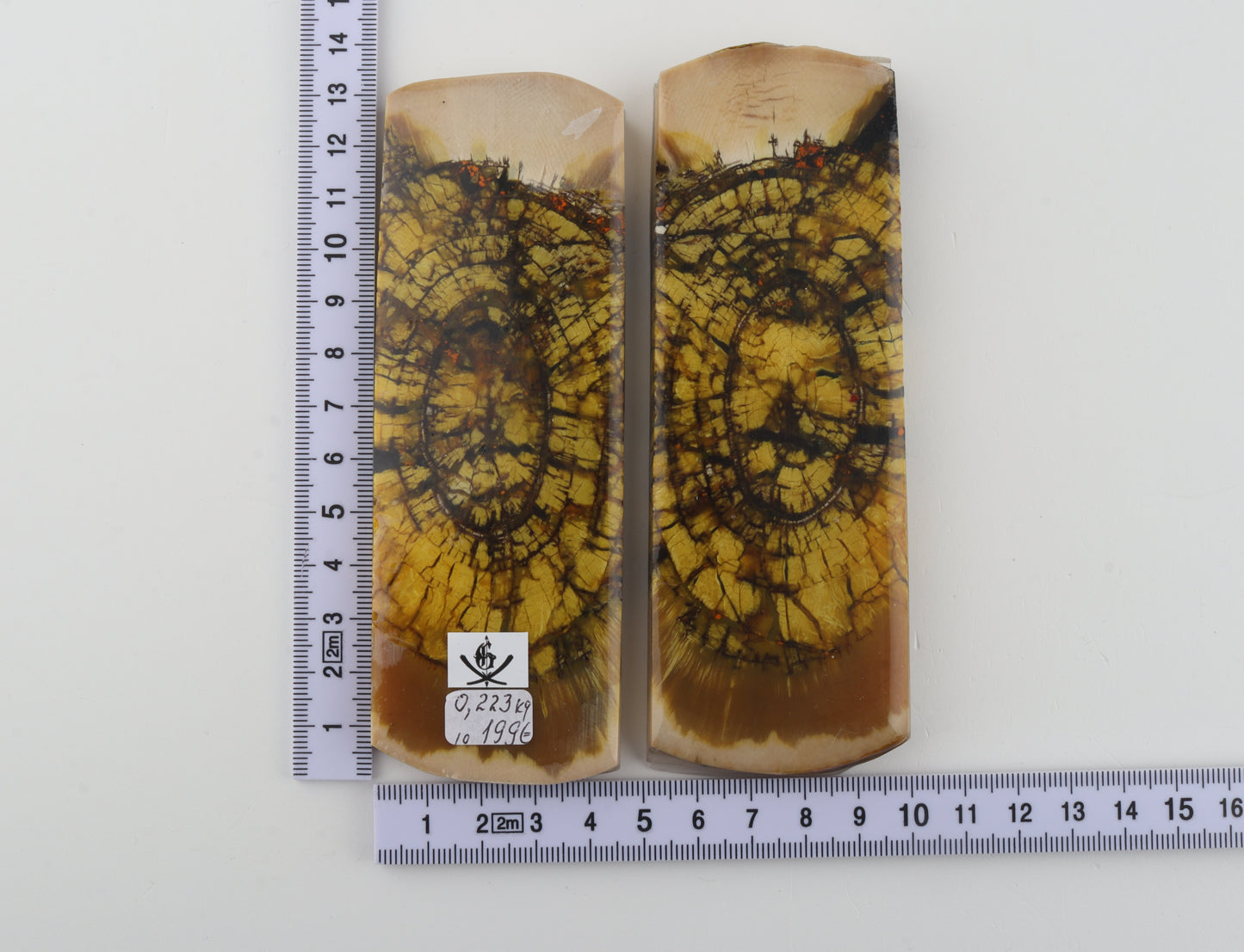 Stabilized mammoth ivory scales