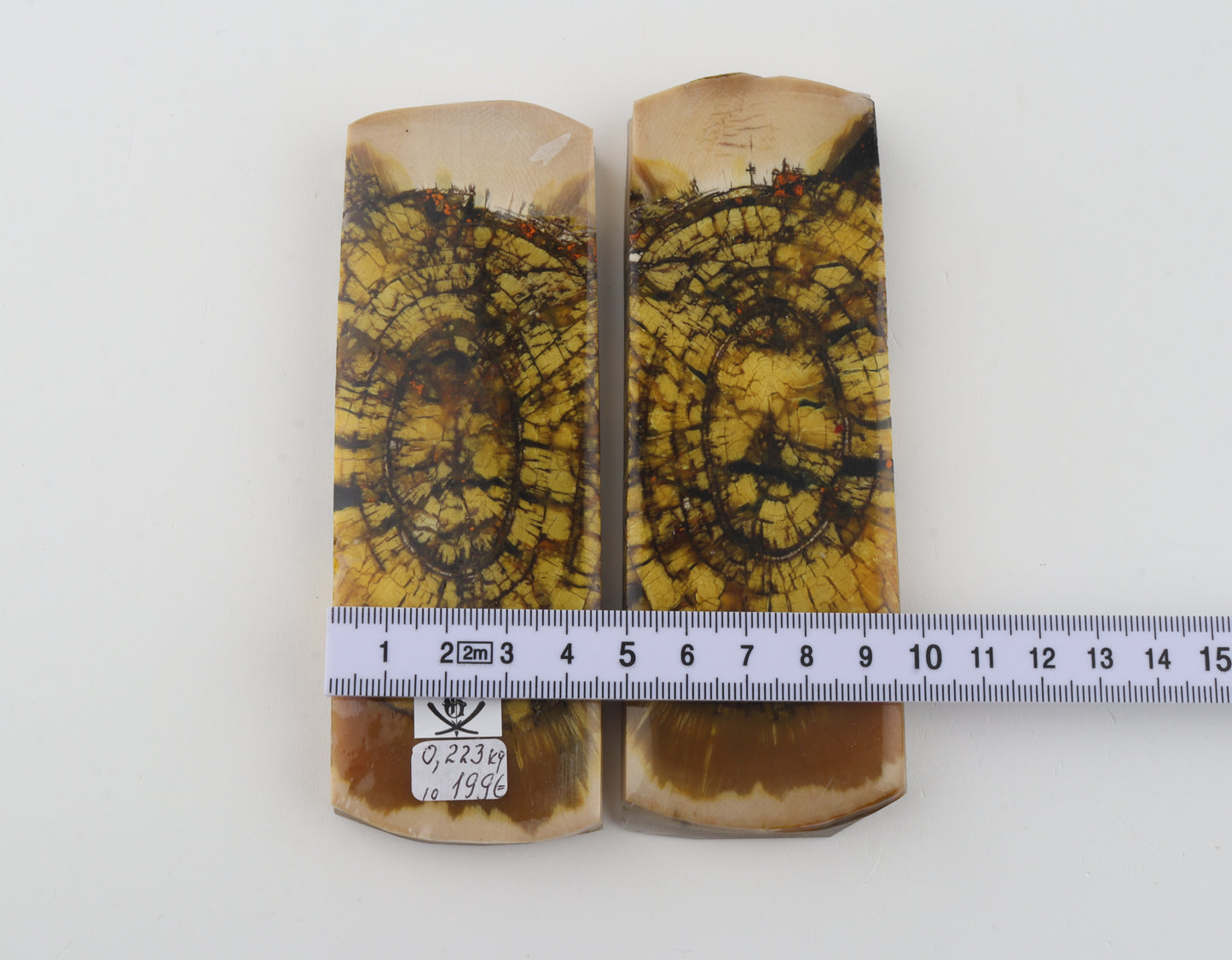 Stabilized mammoth ivory scales