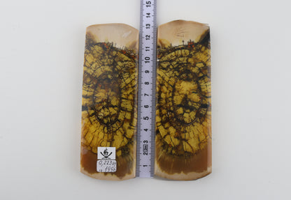 Stabilized mammoth ivory scales