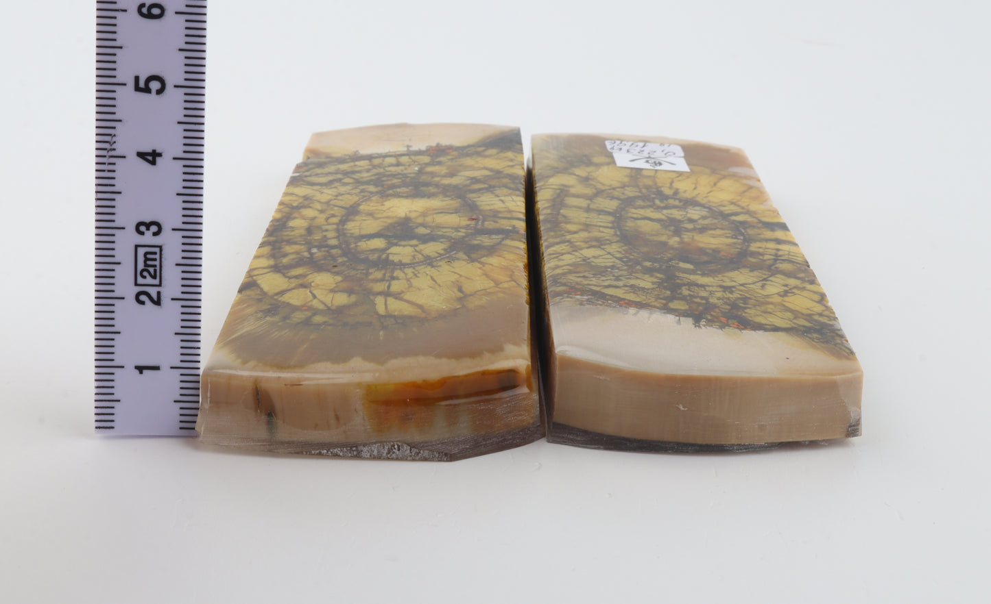 Stabilized mammoth ivory scales