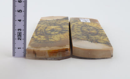 Stabilized mammoth ivory scales