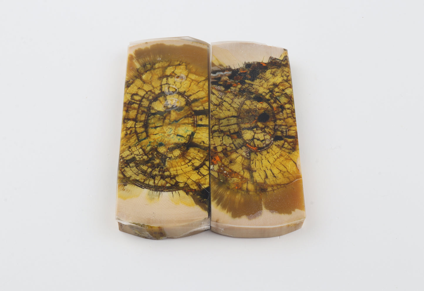 Stabilized mammoth ivory scales