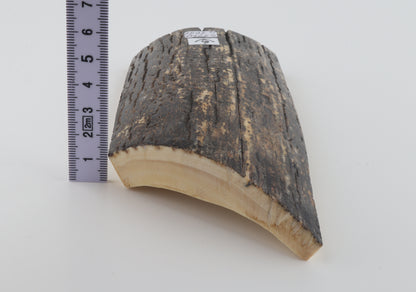 Black-grey mammoth bark