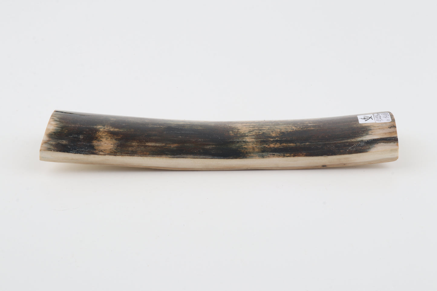 Multicoloured mammoth bark