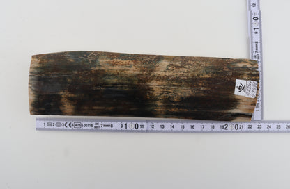 Multicoloured mammoth bark