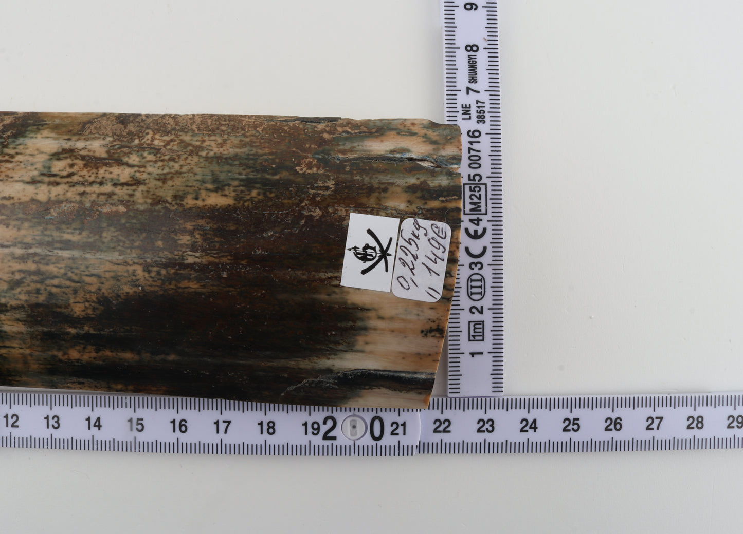 Multicoloured mammoth bark