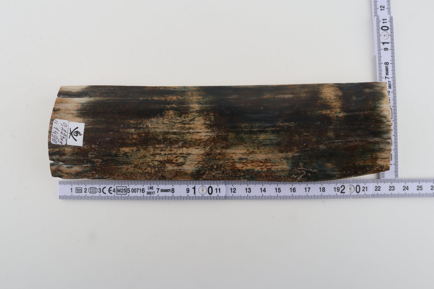 Multicoloured mammoth bark