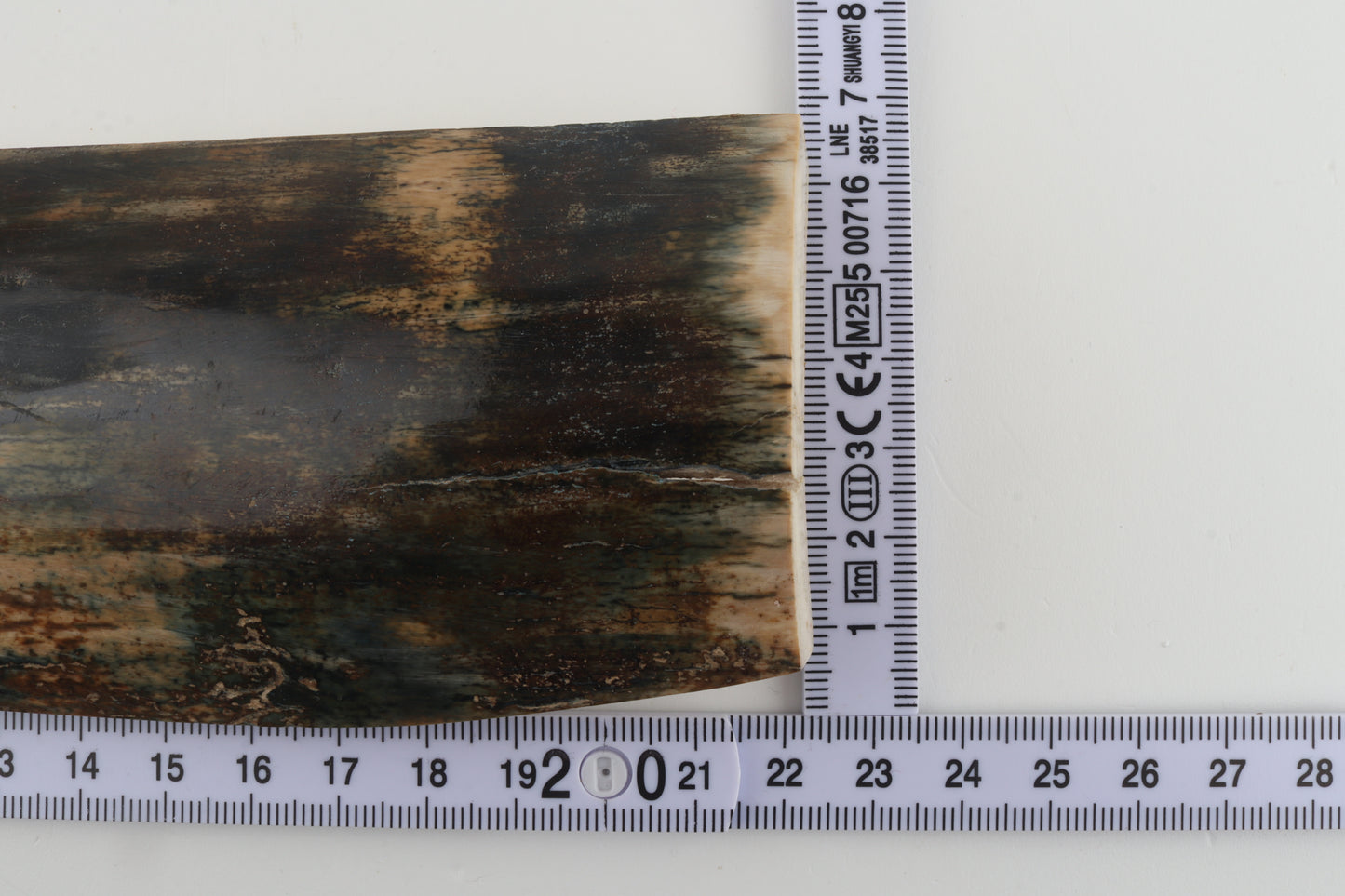 Multicoloured mammoth bark