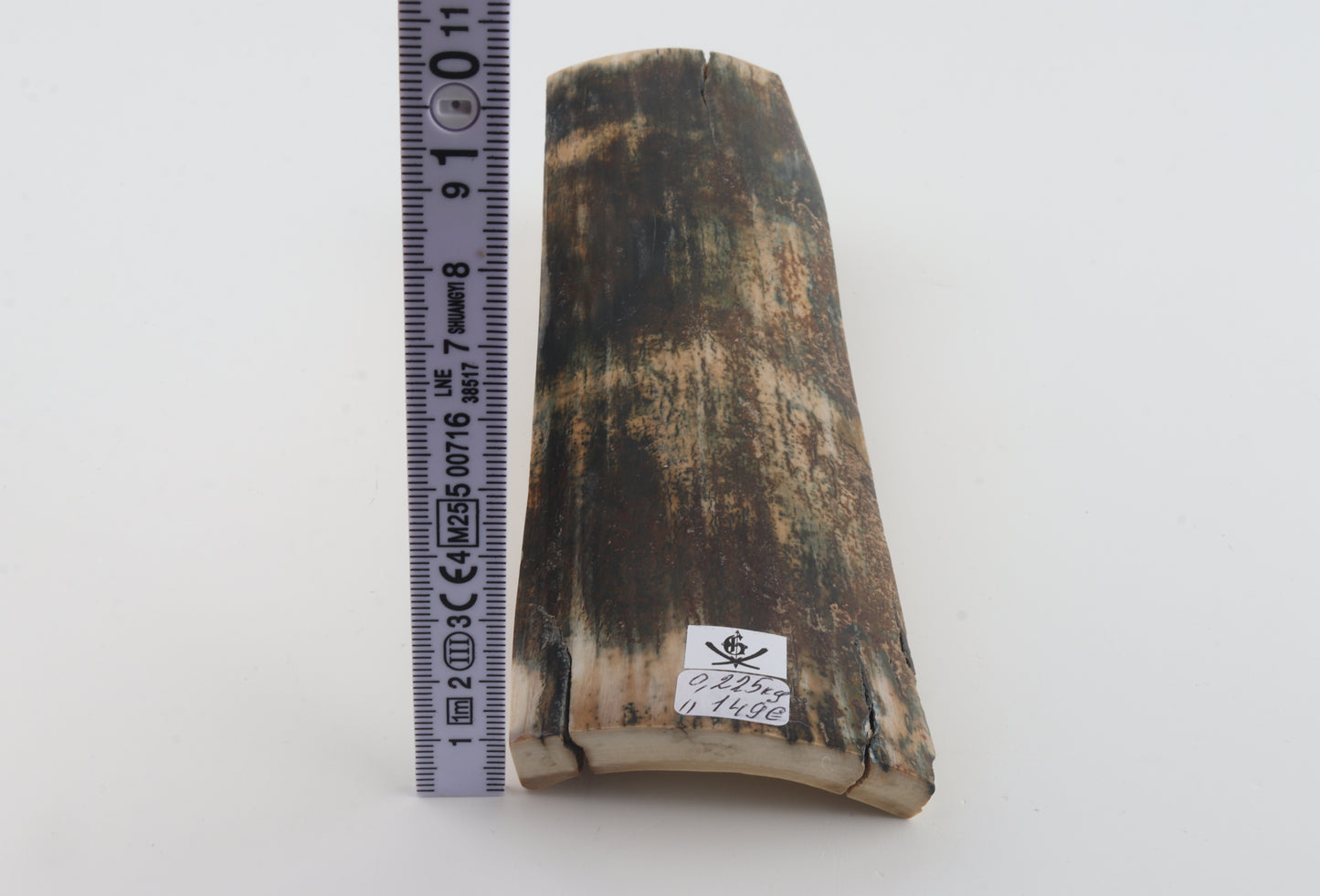 Multicoloured mammoth bark