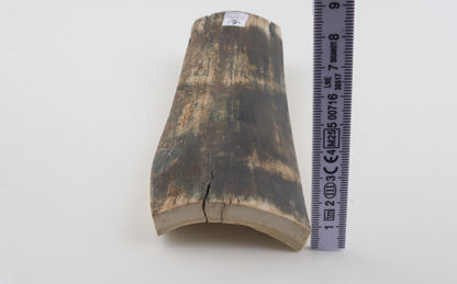 Multicoloured mammoth bark