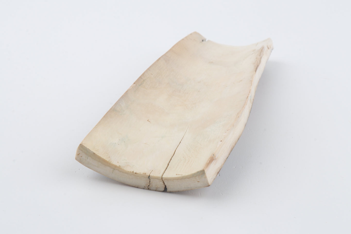 Multicoloured mammoth bark