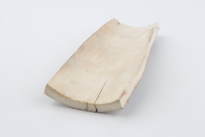 Multicoloured mammoth bark