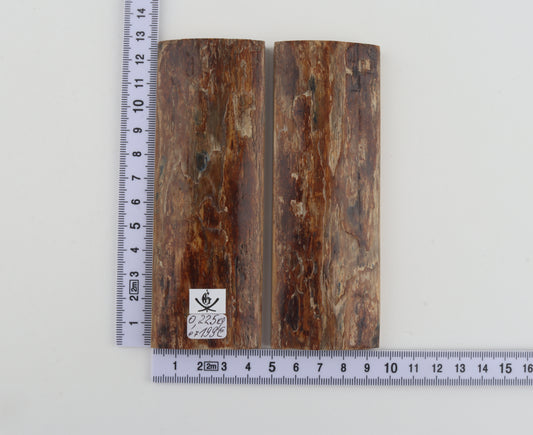 Natural mammoth bark scales