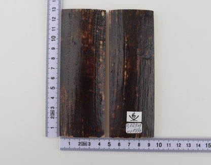 Natural mammoth bark scales