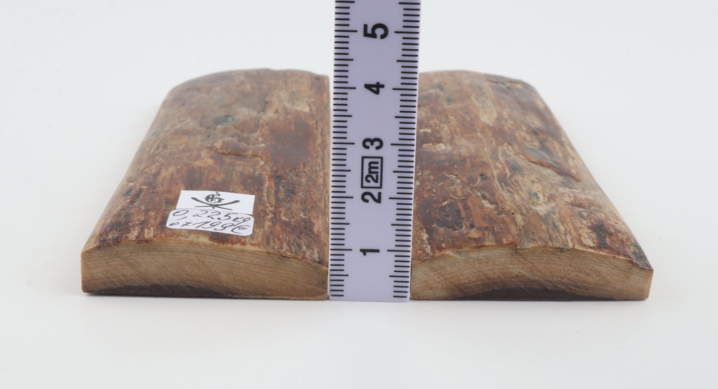 Natural mammoth bark scales