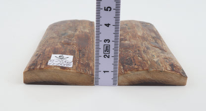 Natural mammoth bark scales