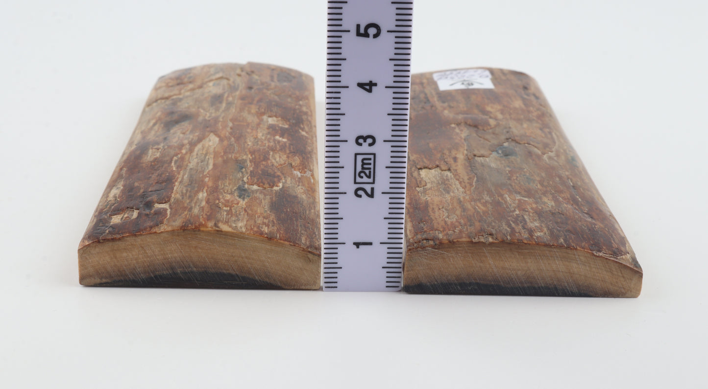 Natural mammoth bark scales