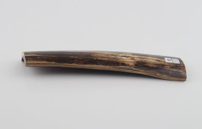 Brown mammoth bark