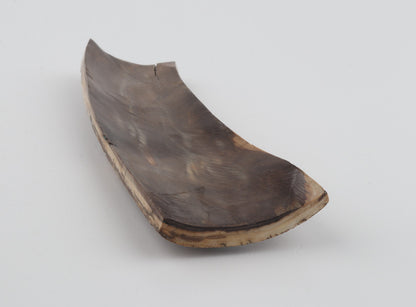 Brown mammoth bark