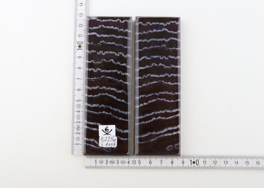 Stabilised mammoth molar scales