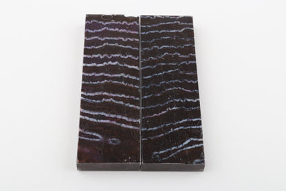 Stabilised mammoth molar scales