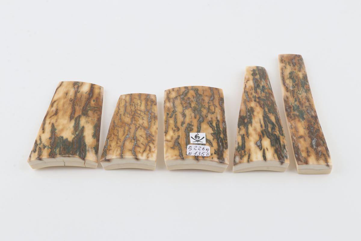 Natural mammoth bark pieces