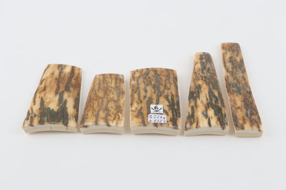Natural mammoth bark pieces