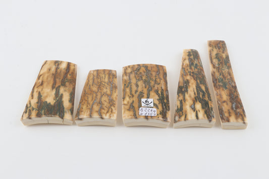 Natural mammoth bark pieces
