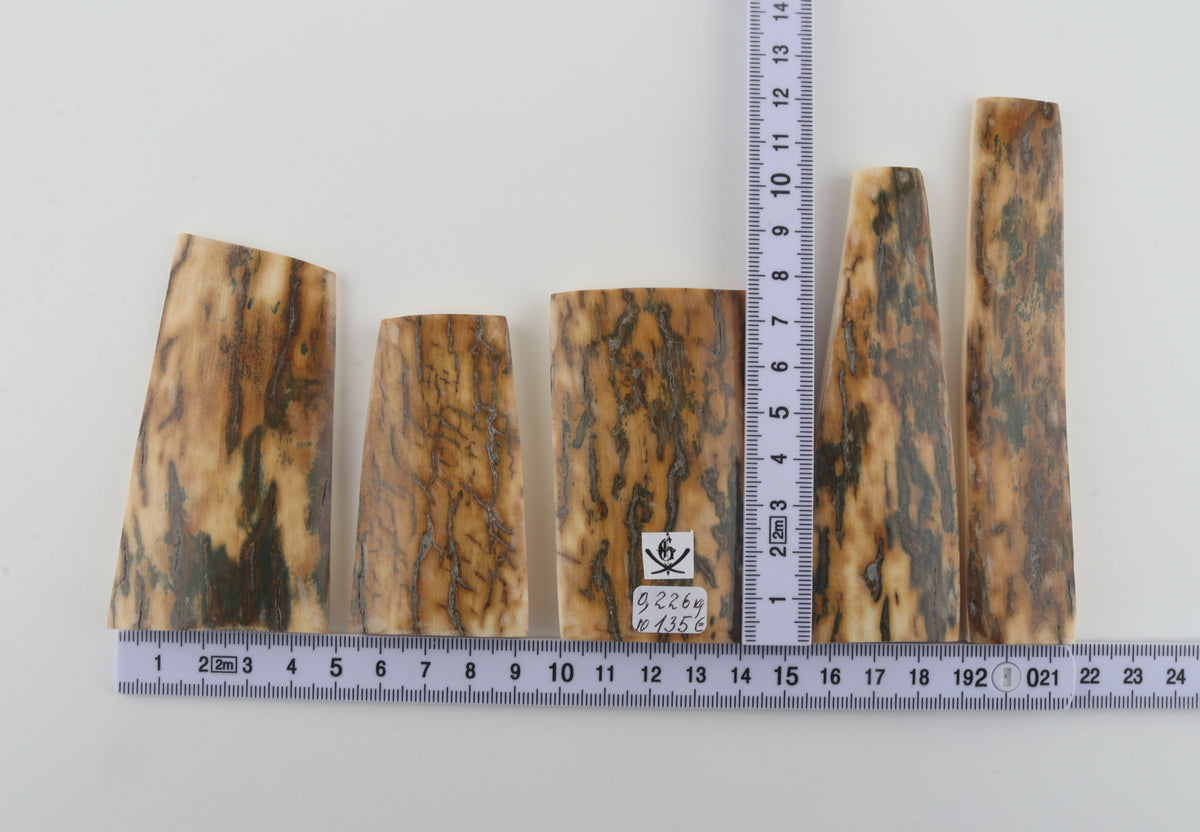 Natural mammoth bark pieces