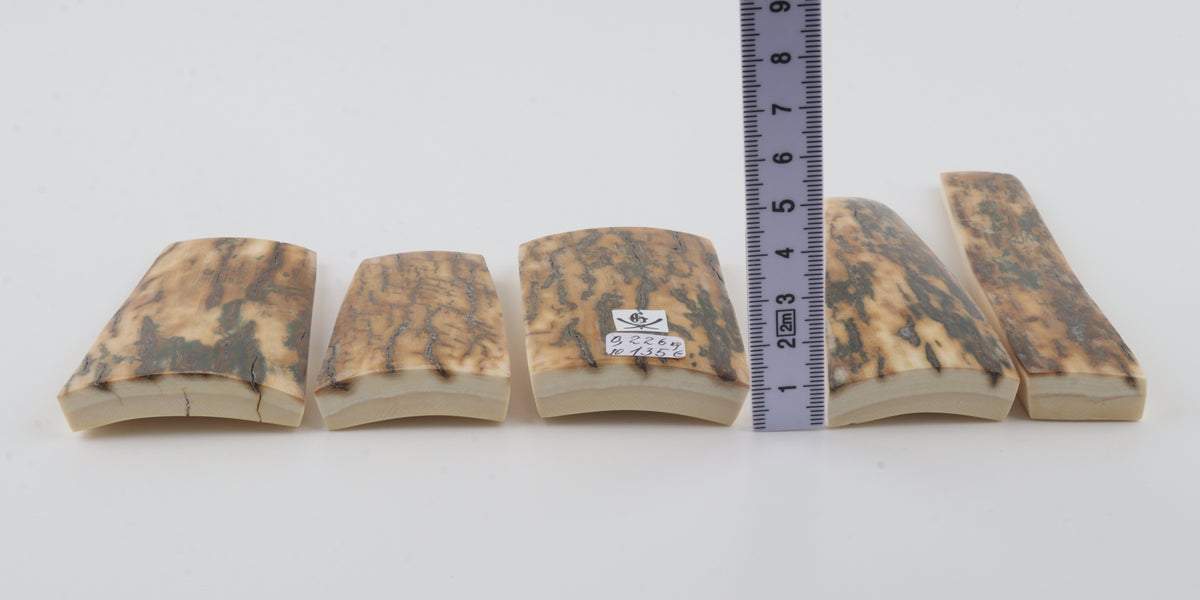 Natural mammoth bark pieces