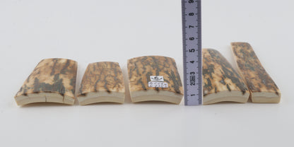 Natural mammoth bark pieces