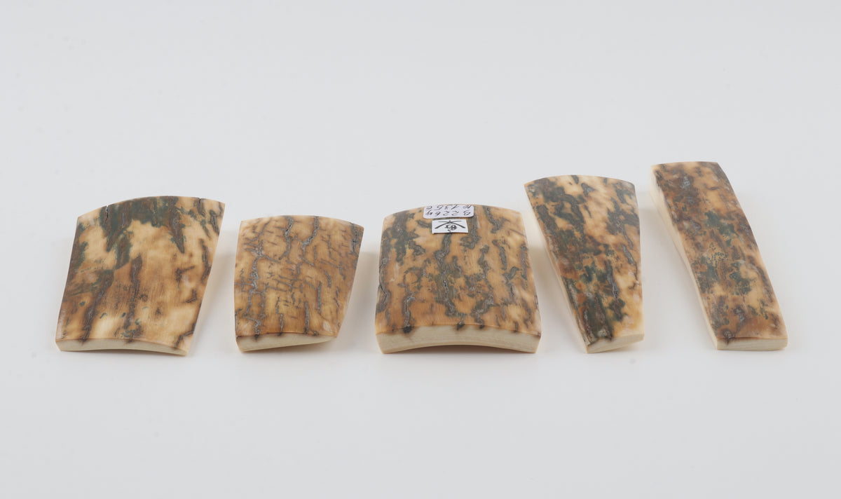 Natural mammoth bark pieces