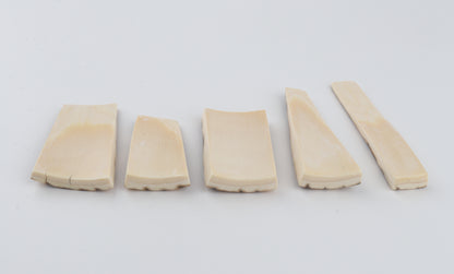 Natural mammoth bark pieces