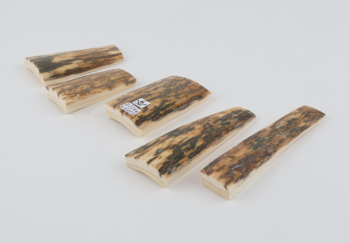 Natural mammoth bark pieces