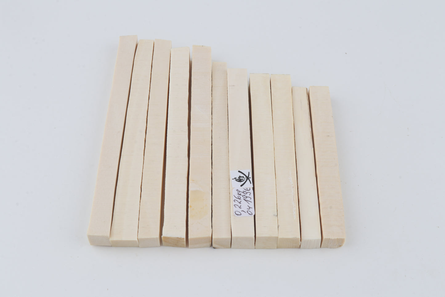 White mammoth ivory segments