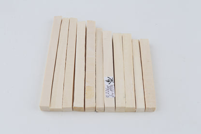 White mammoth ivory segments