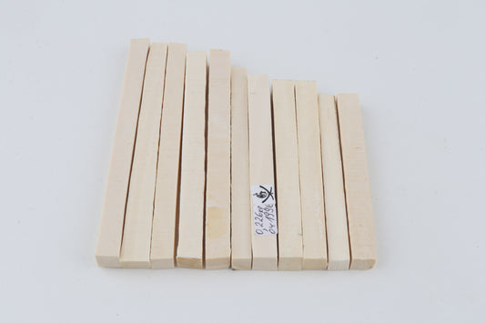 White mammoth ivory segments