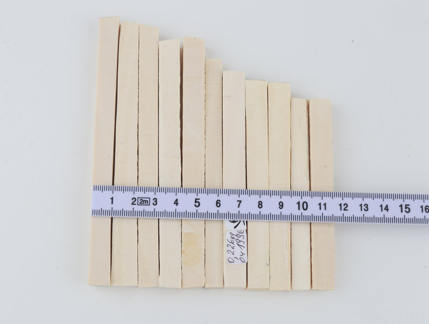 White mammoth ivory segments