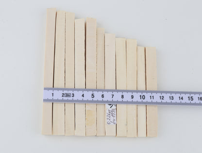 White mammoth ivory segments