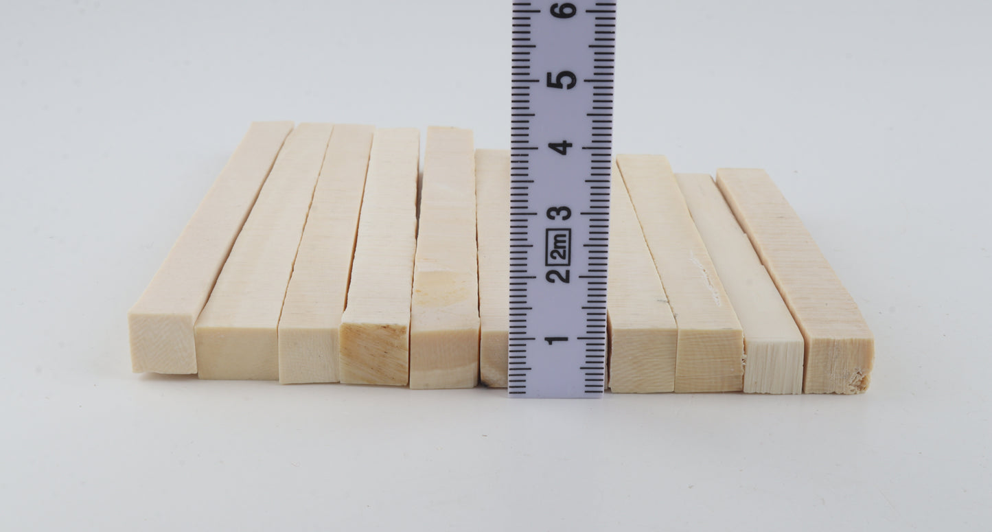White mammoth ivory segments