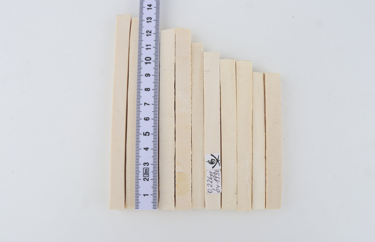 White mammoth ivory segments