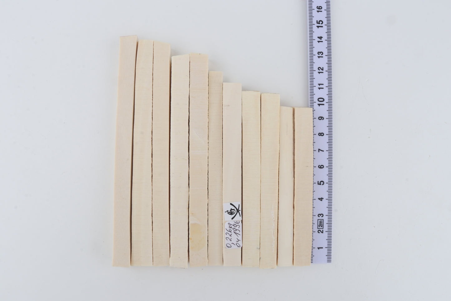 White mammoth ivory segments