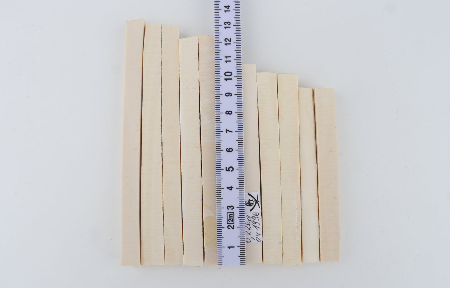 White mammoth ivory segments
