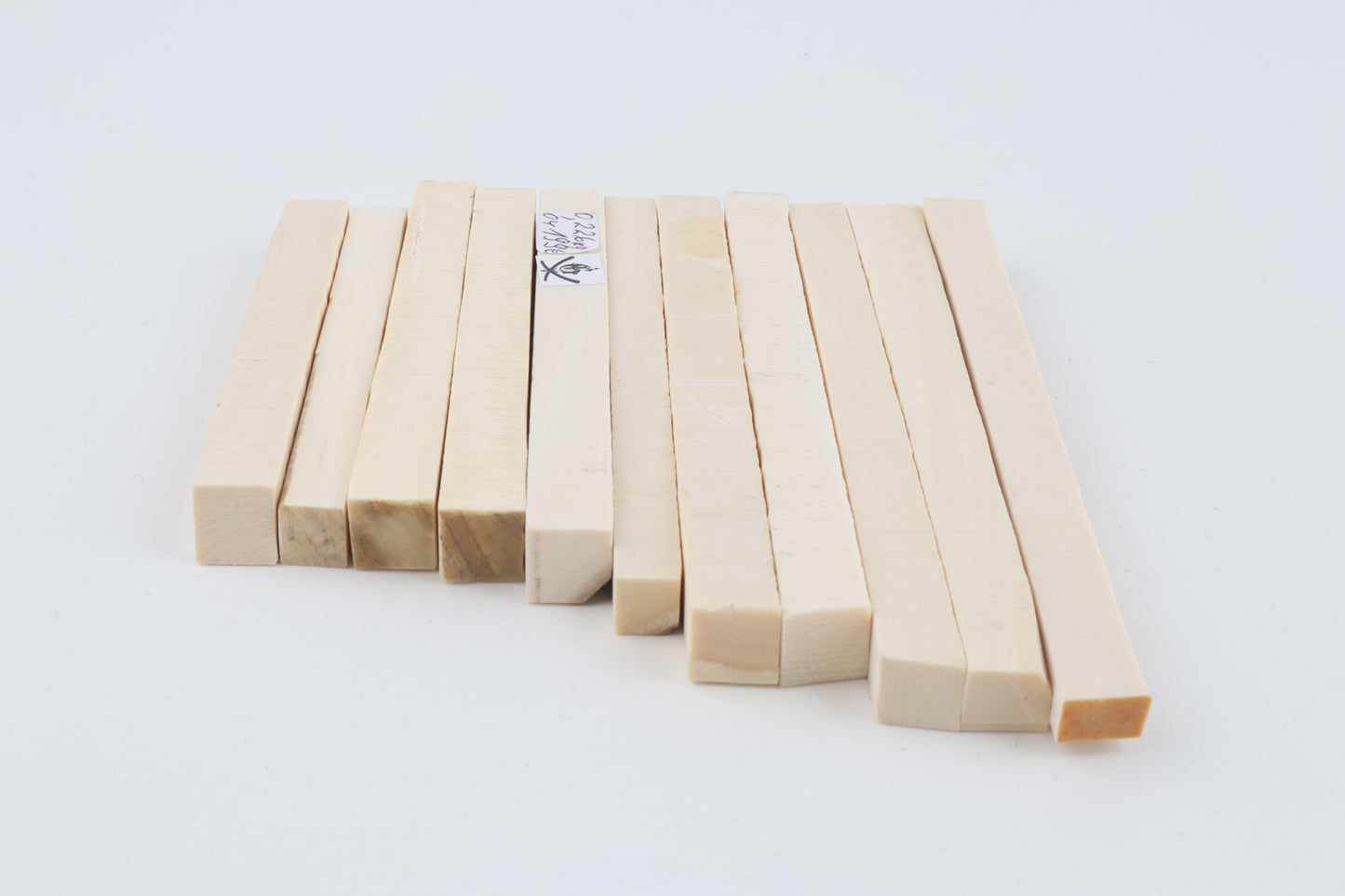White mammoth ivory segments