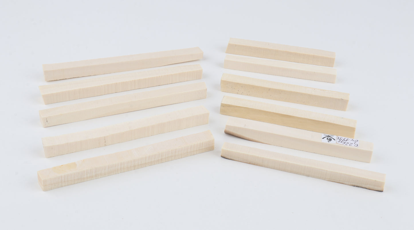 White mammoth ivory segments