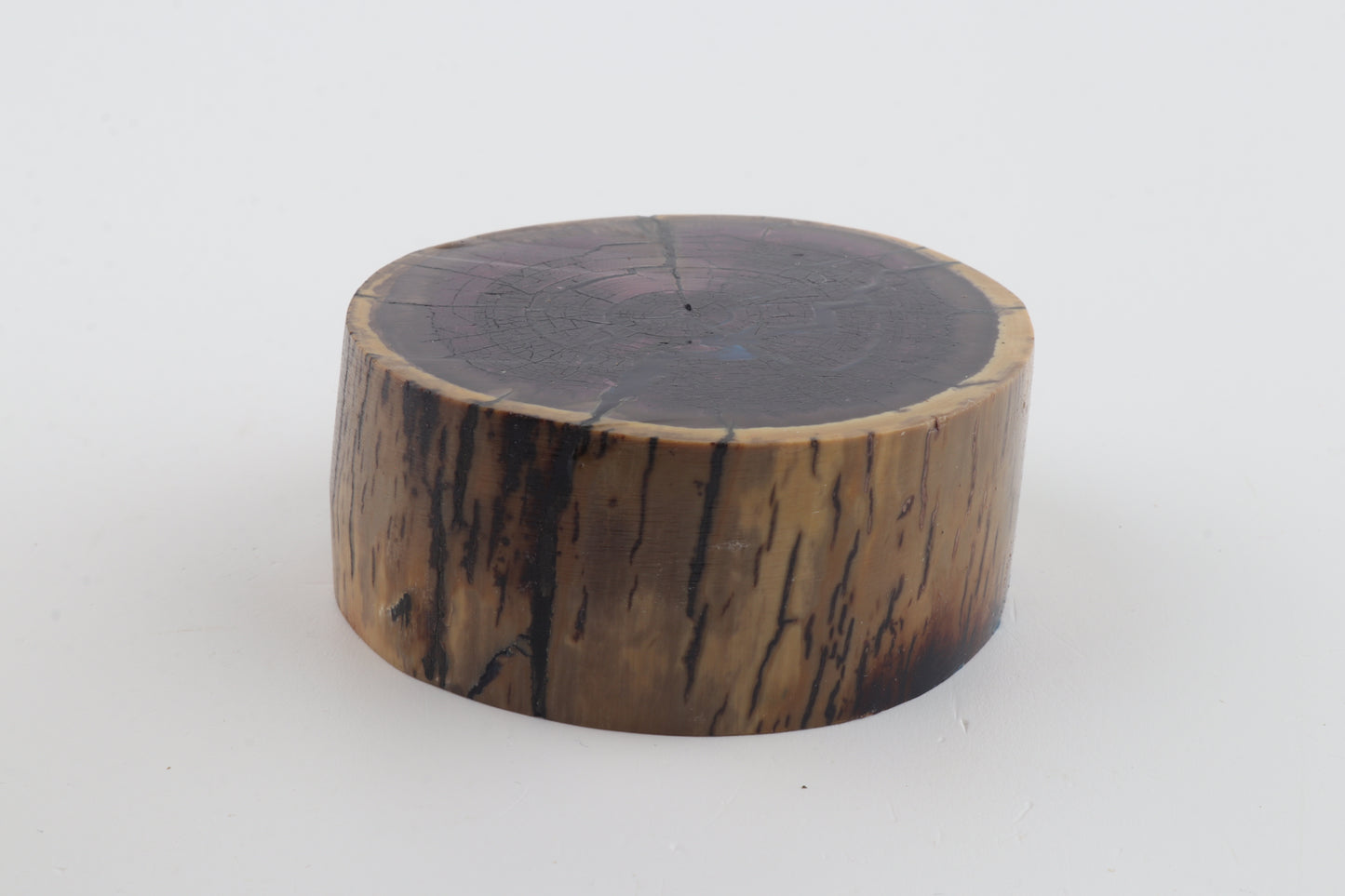 Stabilised mammoth ivory block